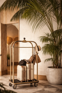 Elegant lobby corner with brass cart